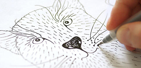 lechalebleu-the-panther-and-the-magic-stone-drawing-for-tale