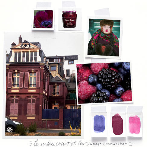 Mood Board for Dark Burgundy