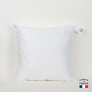 LeChaleBleuMaison-PillowInsert-40x40-2