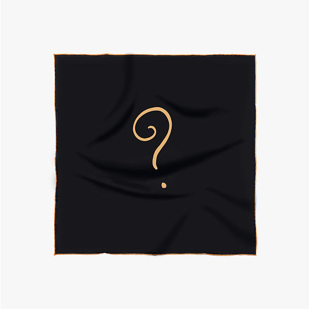 LE-CHALE-BLEU-silk-twill-bandana-riddle-black